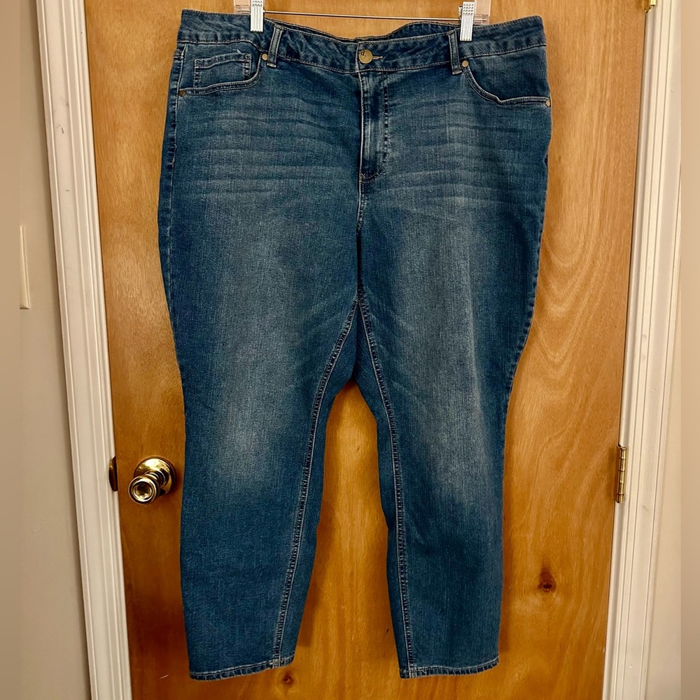 Plus Size Jeans, D. Jeans, Size 22W